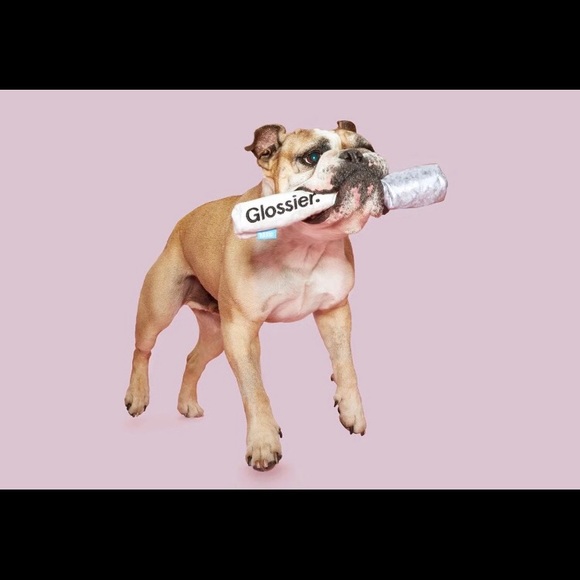 Glossier Dog Toys - Picture 3 of 8